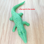 Crocodile Growing Toy