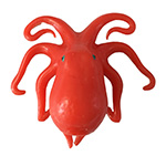 Octopus Toy