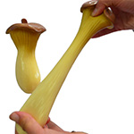 Mushroom Stretchy Toy